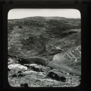 Böhl glass slide 59./1335